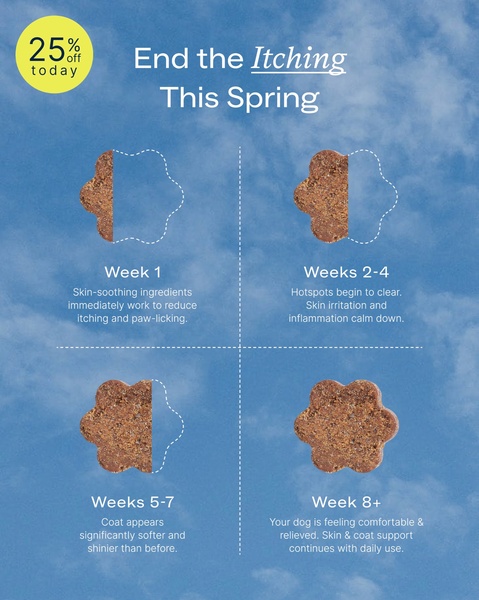 A clear, four-stage progression graphic showcasing the timeline results of a dog health supplement.